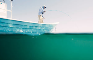 Fly Fishing Magdalena Bay: Mangroves and Bluewater