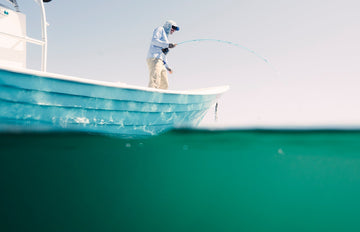 Fly Fishing Magdalena Bay: Mangroves and Bluewater