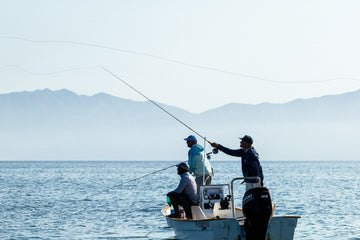 Choosing the Right Fly Line for Baja