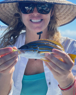 Blue and Gold Snapper caught while fly fishing on either a hosted trip, custom package, or day trip with The Fish Ranch in La Ventana, Baja California Sur, Mexico 