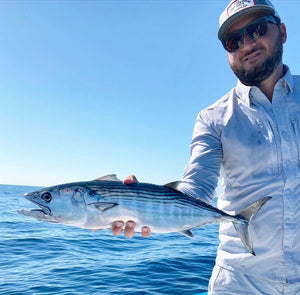 Bonito caught while fly fishing on either a hosted trip, custom package, or day trip with The Fish Ranch in La Ventana, Baja California Sur, Mexico 