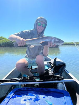 Corbina caught and released while fly fishing with outfitter The Fish Ranch in Magdalena Bay, Baja California Sur, Mexico 