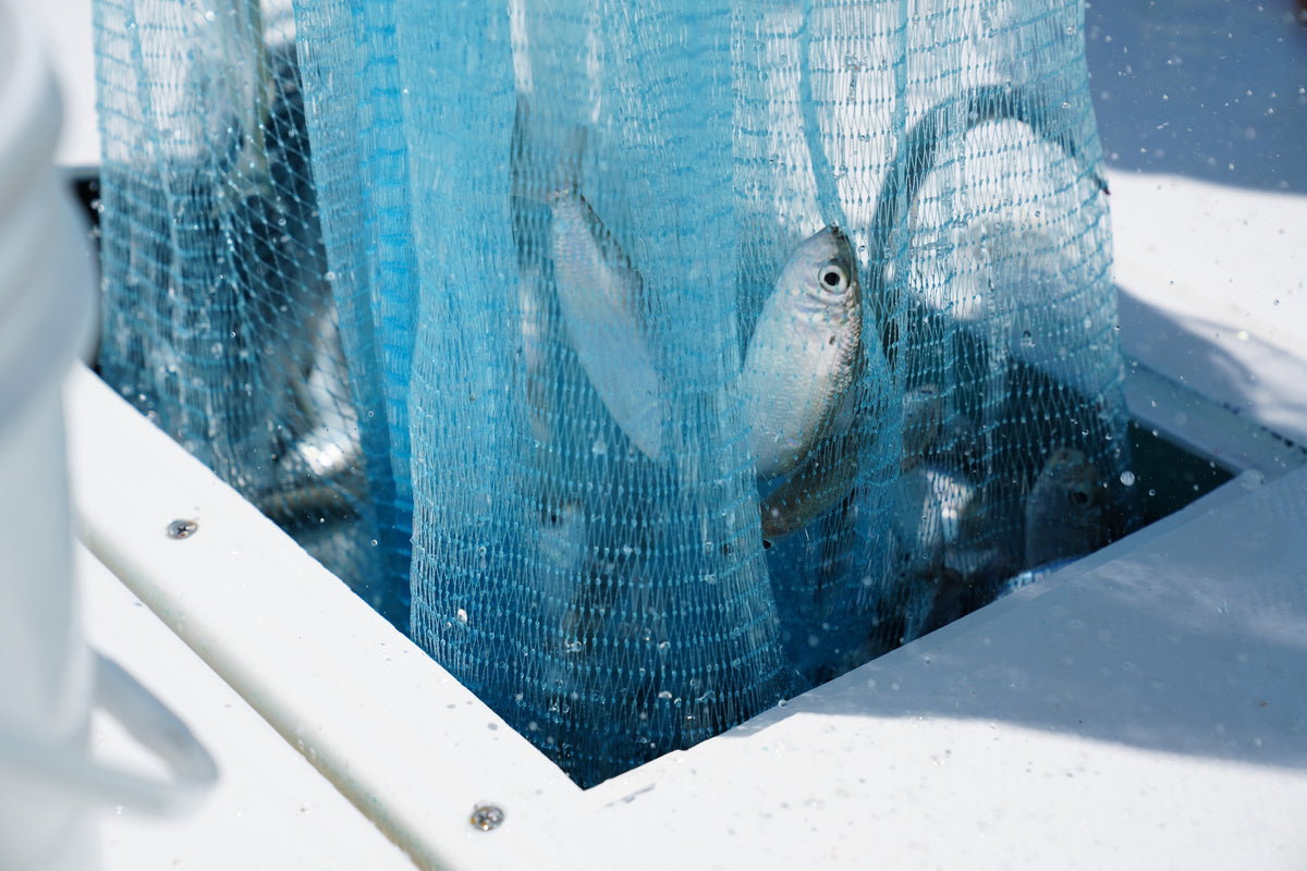 Flight Ranch Fish Hosted Trips – The Fish Ranch