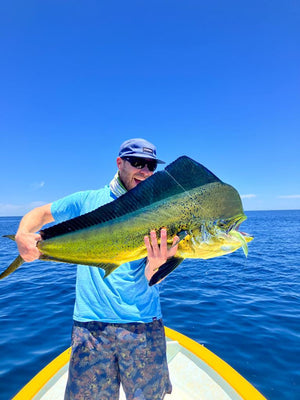 Dorado caught and released while fly fishing with outfitter The Fish Ranch in La Ventana, Baja California Sur, Mexico 