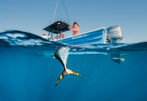 Fly fishing for Yellowfin tuna on a hosted trip with outfitter The Fish Ranch in Lopez Mateos, BCS 