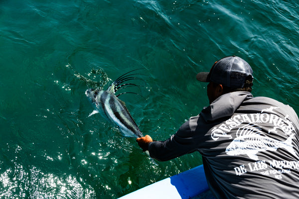 Fly Fish mexico Roosterfish