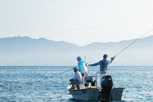 Fly fishing for rooster fish during a custom package booked with The Fish Ranch, La Ventana, BCS 