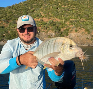 Golden Trevally caught and released while fly fishing with outfitter The Fish Ranch in Baja California Sur, Mexico 