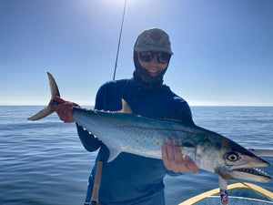 Mackeral caught and released while fly fishing with outfitter The Fish Ranch in Baja California Sur, Mexico 