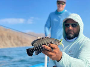 Mero Cangrejero caught and released while fly fishing with outfitter The Fish Ranch in Baja California Sur, Mexico 