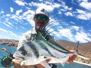 Roosterfish caught and released while fly fishing with outfitter The Fish Ranch in Baja California Sur, Mexico 
