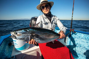 Skip Jack caught while fly fishing on either a hosted trip, custom package, or day trip with The Fish Ranch in La Ventana, Baja California Sur, Mexico 