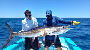 Striped Marlin caught and released while fly fishing with outfitter The Fish Ranch in Baja California Sur, Mexico 