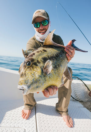 Trigger Fish caught and released while fly fishing with outfitter The Fish Ranch in Baja California Sur, Mexico 