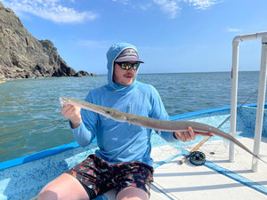 Trumpet Fish caught and released while fly fishing with outfitter The Fish Ranch in Baja California Sur, Mexico 