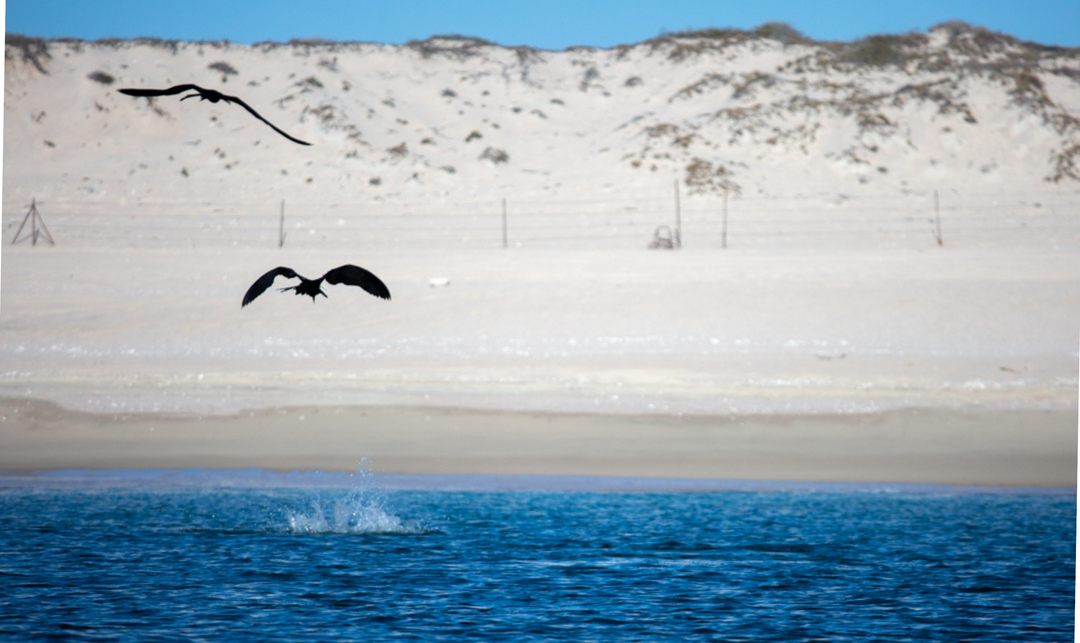 Day Trips – The Fish Ranch