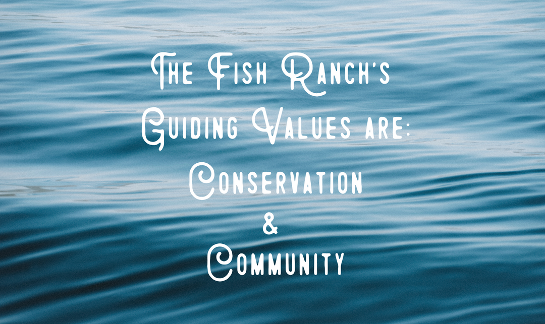 Conservation & Community – The Fish Ranch