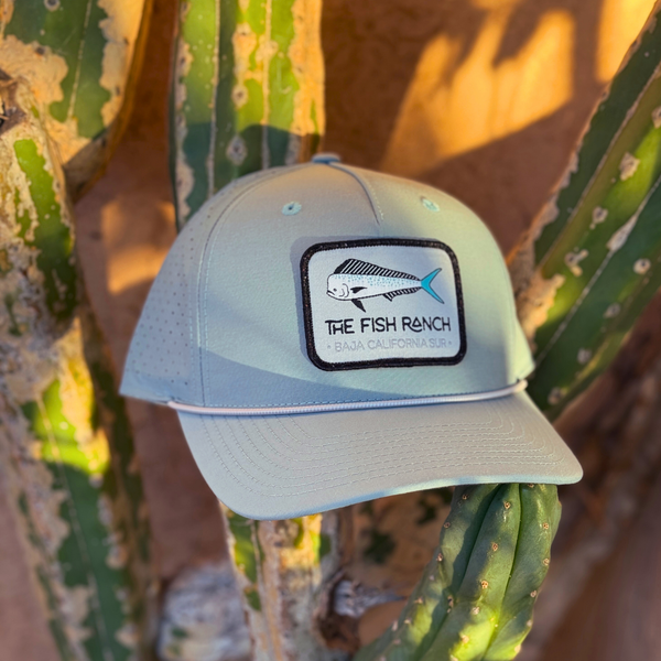 Dorado Patch Hat in Sporty Smoke Blue