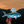 Roosterfish Sticker