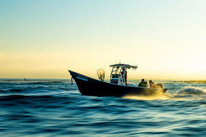 Super panga with anglers searching for baitballs in Magdalena Bay, at sunrise 